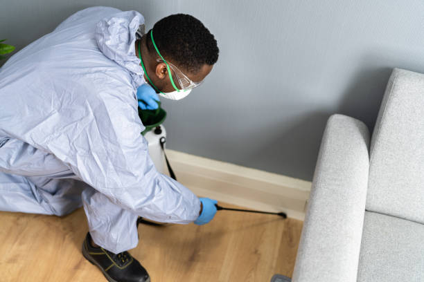 Real Estate Pest Inspections in Imperial, MO